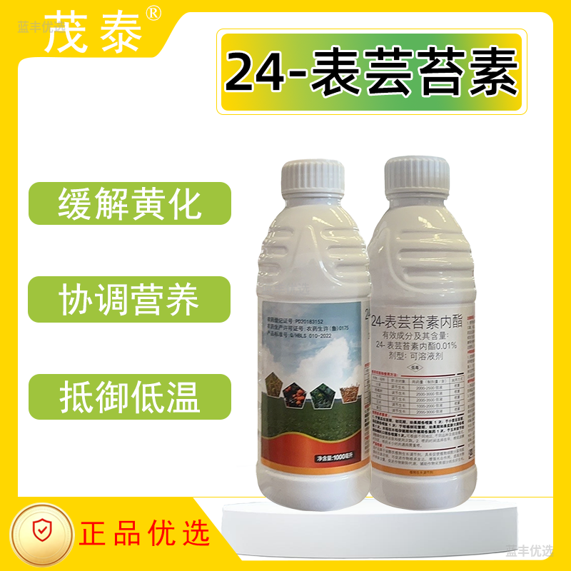 茂泰-24-表芸苔素内酯可溶液剂植调剂调节生长促根增产